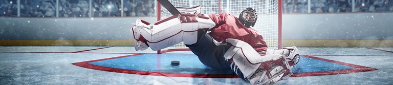 Hockey goalie