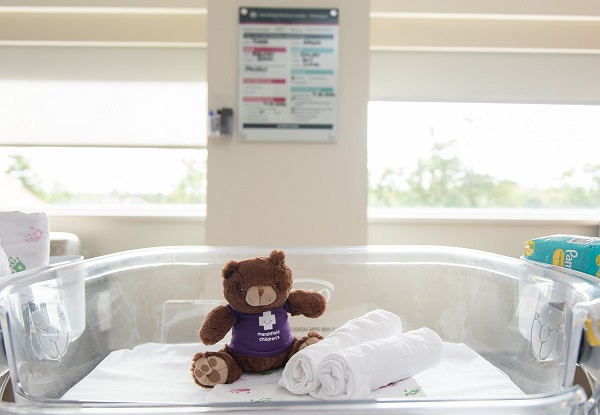 Teddy bear in basinet