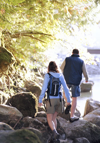 Rear view of young couple walking through the woods