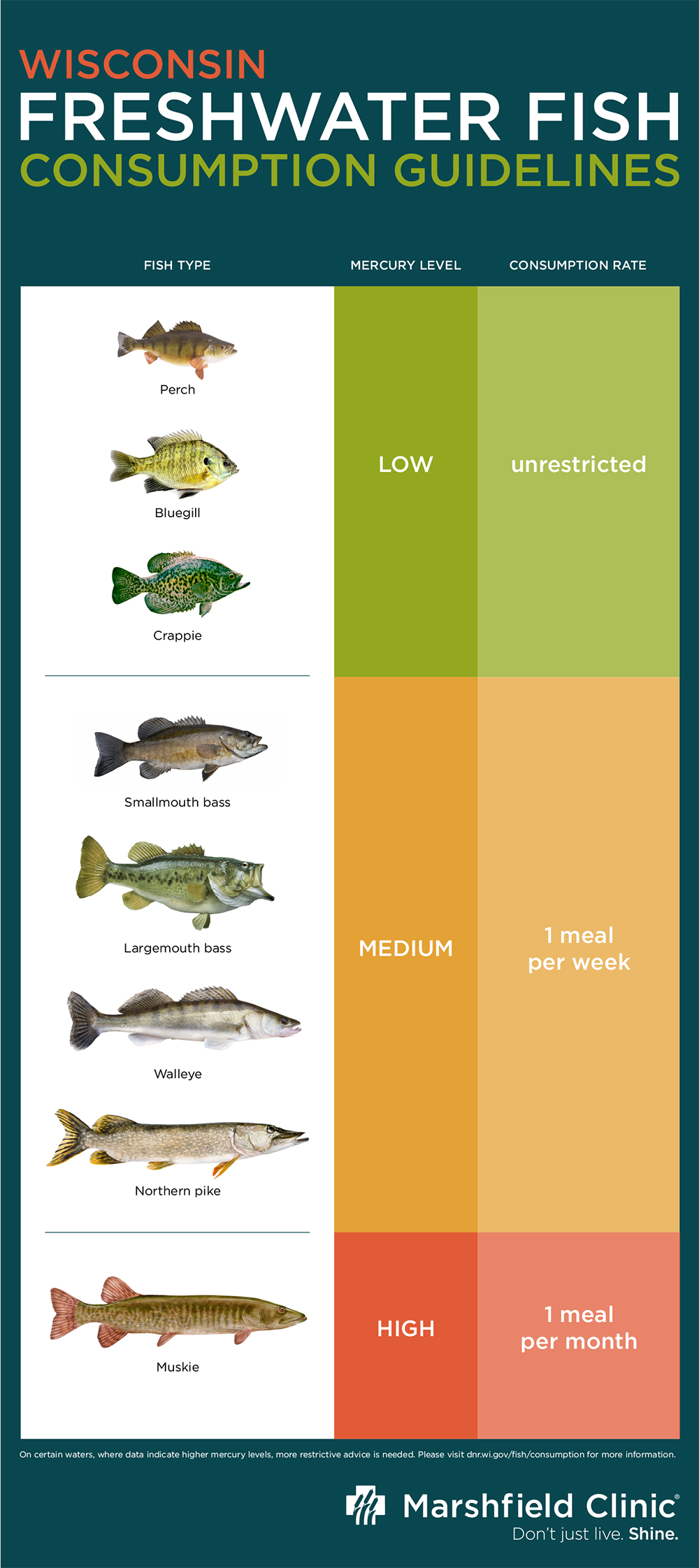 High Mercury Fish Chart