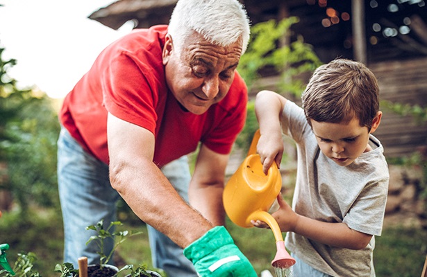 Elderly man and grandson gardening