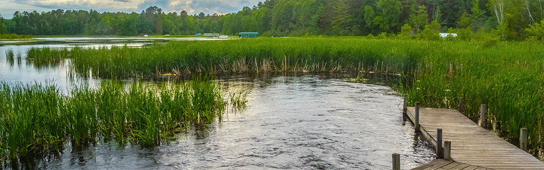 photo of lake